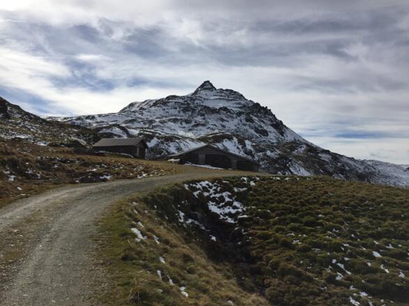 Streitfeldenalm
