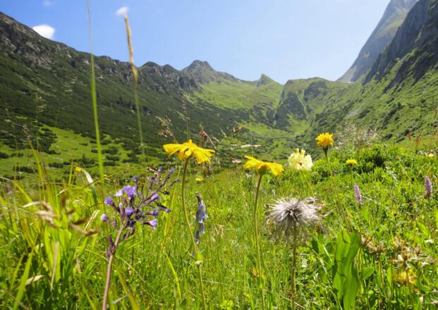 Wunderschöne Landschaft rund um das Kolmhaus