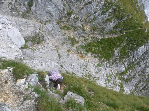 Rinnenquerung in den unteren steilen Grasschrofen