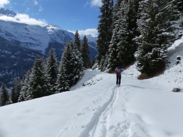 Nach den kurzen Abkürzungen folgt die Abfahrt ins Tal nur auf dem Güterweg.