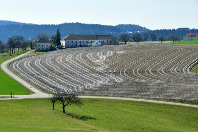Blick vom Ellerberg zum Bauernhof