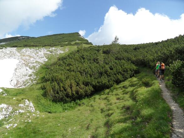 In einem weiten Rechtsbogen verläuft der Weg durch Latschenfelder.