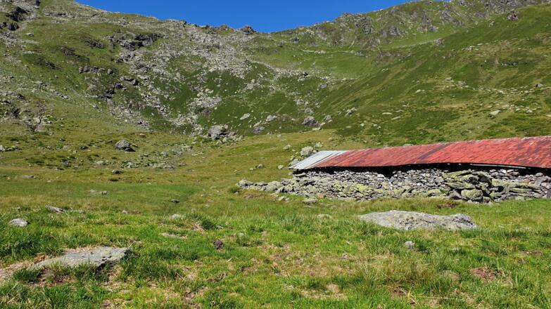 Öfeleralm