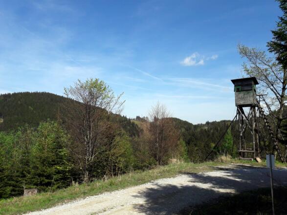 Grüner Jagastand ~970m mit Hochriedel links