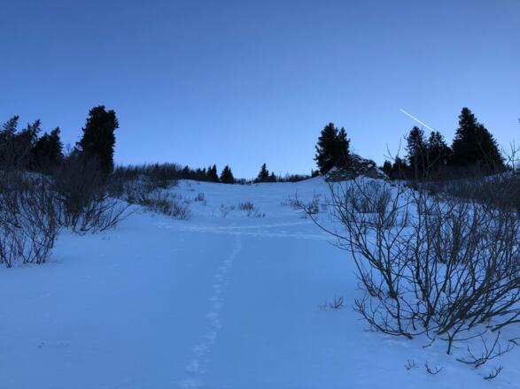 Im steileren Gelände mit Blick nach oben