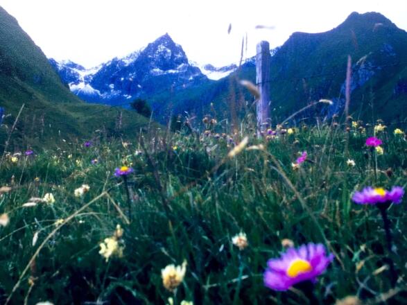 An der Niljoch Alm