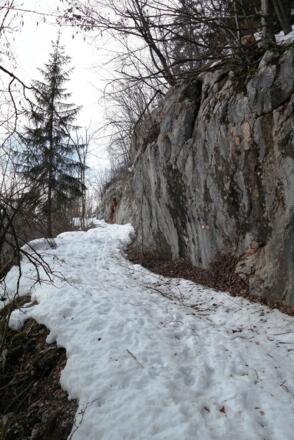 Die Forststraße, die einen Rücken quert und in das Saiherbachtal leitet.