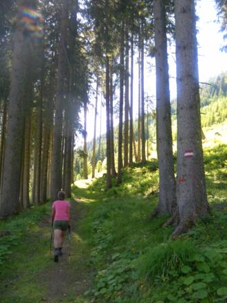 Hochwald