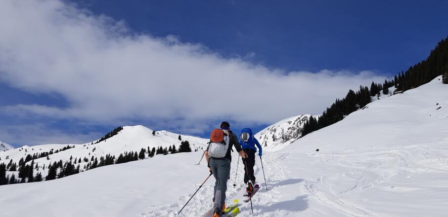 Kurz vor der Alm
