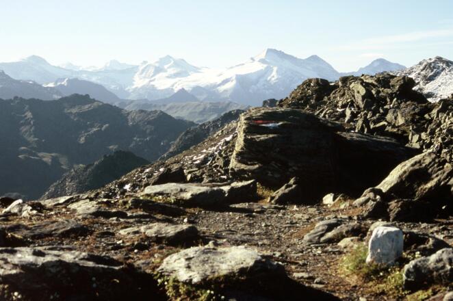 Blick vom Glungezer zu Olperer und Friesenbergscharte