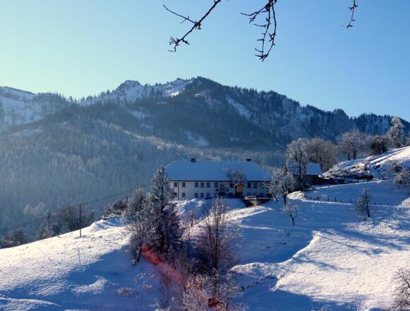 Rückblick vom Hof 801m zum Trapez und Steineck