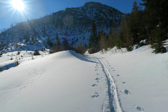 Der Raukogel
