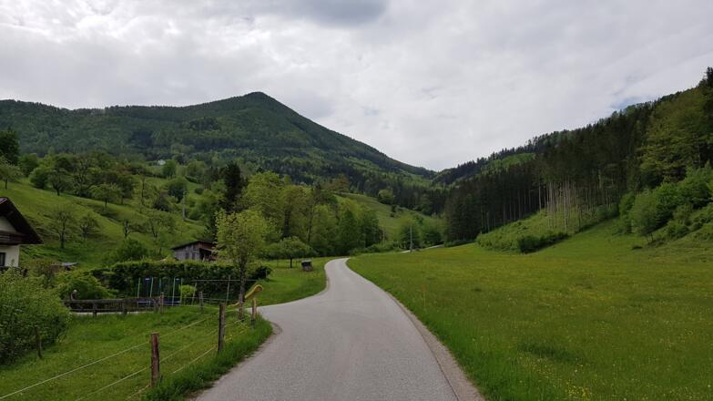 Blick zum Rapoldeck nach der Pension Luckerbauer.
