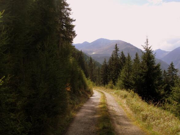 Herrliche Stimmung auch bei der Abfahrt / beim Abstieg.