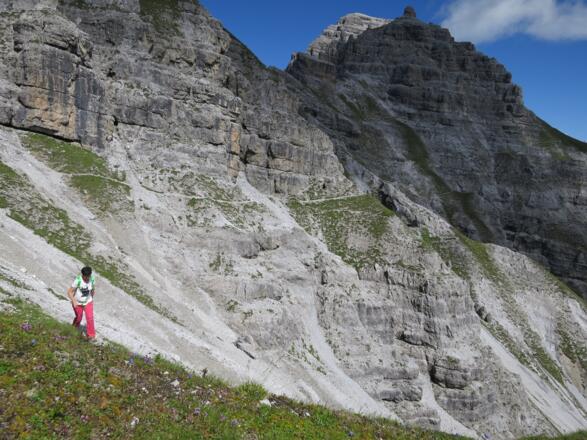 ... teilweise ausgesetzt ...