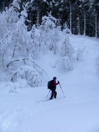 Hochwinter