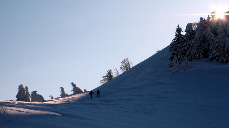 Gipfelhang Nordseite