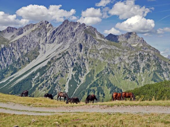 Blick auf das Leckquellengebirge