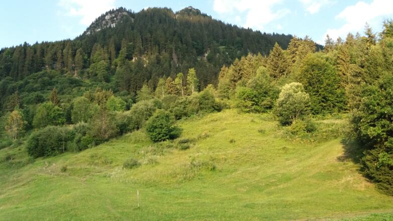 1075 hm: Abzweigung mit Blick zur Gurtisspitze hinauf.
