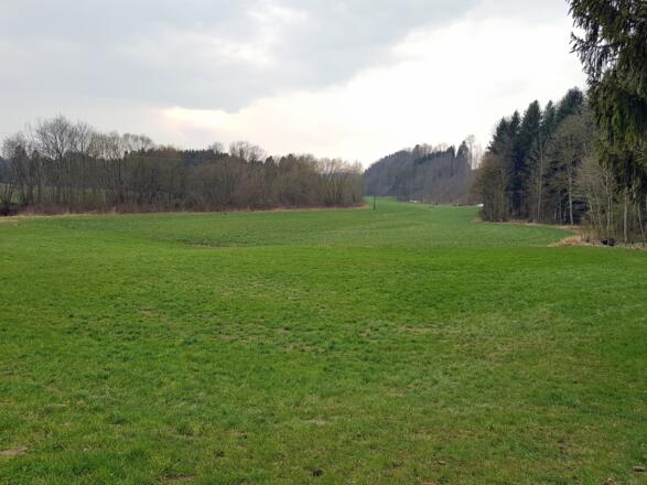 Das Vöcklatal