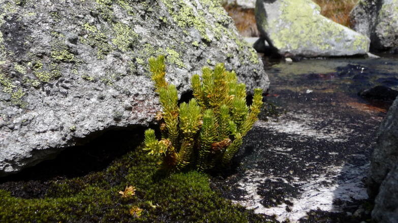 Abstieg Unterschrammachbach