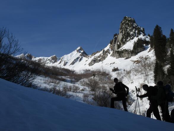 Die Sonne bescheint bereits die Hänge, während wir noch im Schatten bergansteigen.