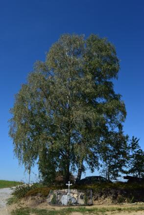 Kreuz bei Obergrünbach