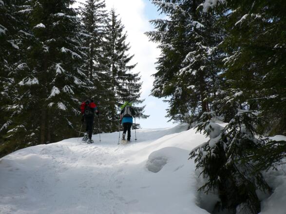 Wir verlassen das Waldgebiet ....