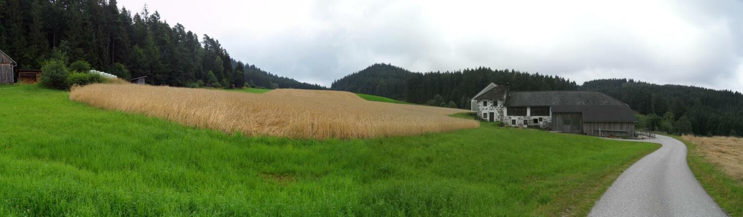 Hof mit Getreidefeld