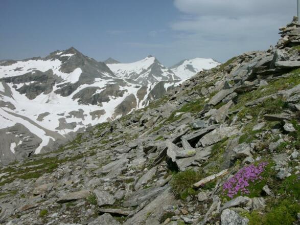Allteck, Goldbergspitze, Hoher Sonnblick, Hocharn