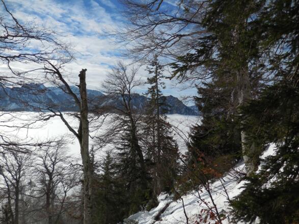 Oberhalb 1300m Seehöhe scheint meistens schon die Sonne
