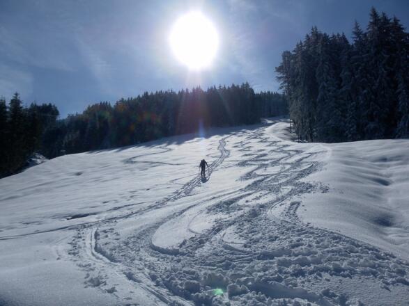 Piste Nr.8