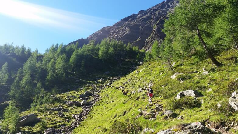 Steig geht weiter Richtung 2 Landschitzsee
