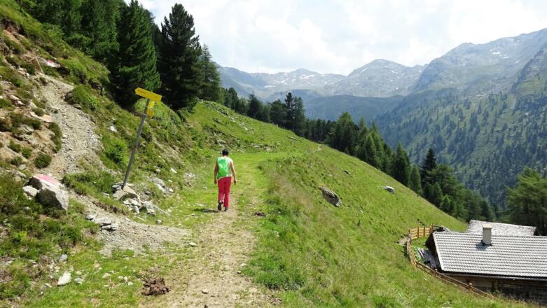 Vom Hochleger nun wieder taleinwärts.