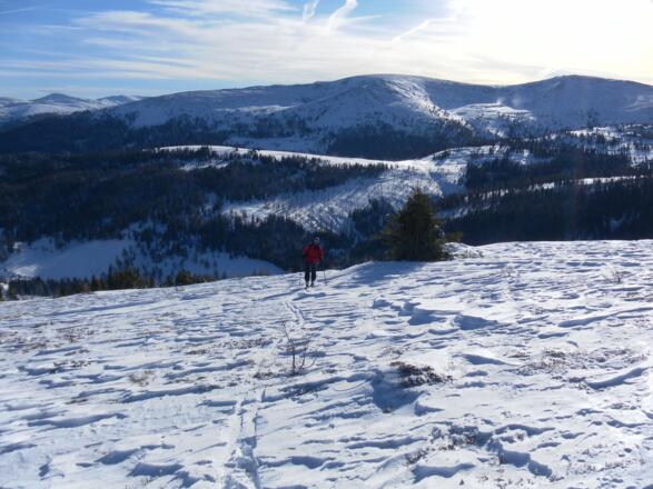 starker Windeinfluß in den Nockbergen