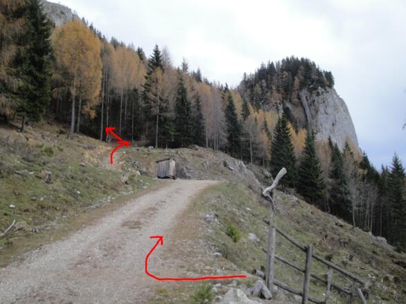 Bei der Sommeraualm verlassen wir den Wanderweg