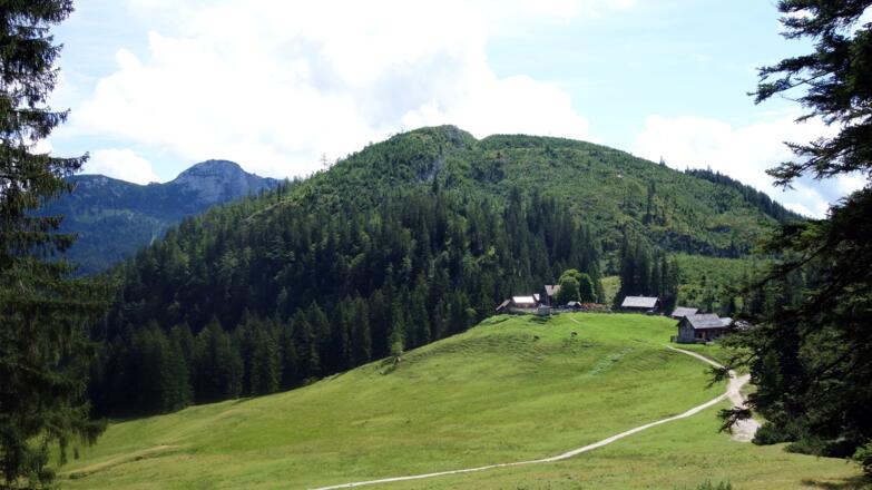 Ausstieg 1260m, Blick zur Hütteneckalm