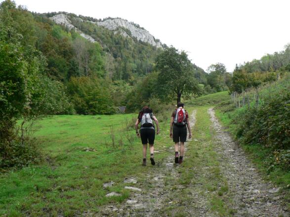 Wir folgen dem immer breiter werdenden Fahrweg bis zum Gehöft Hintsteiner, links die Felsaufbauten des Reitner Kogels