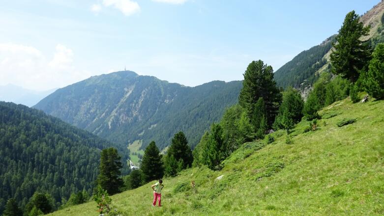 Blick talauswärts, unten der Niederleger und das Meißner Haus, hinten der Patscherkofel.