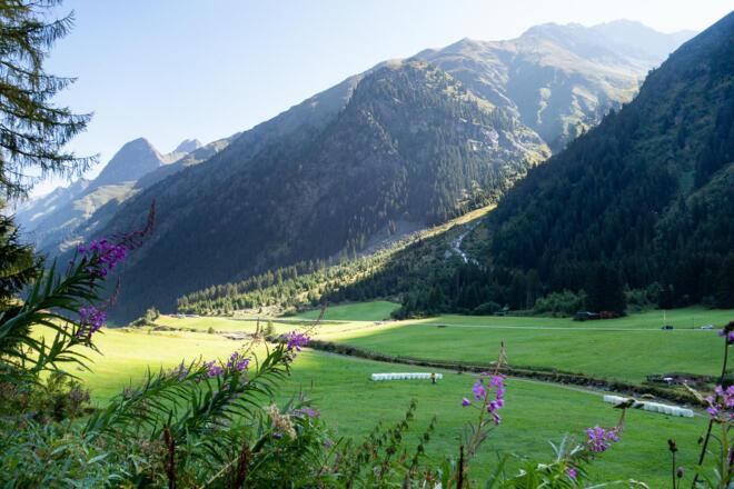 Gleich haben wir den Abstieg geschafft und befinden uns wieder im Tal.