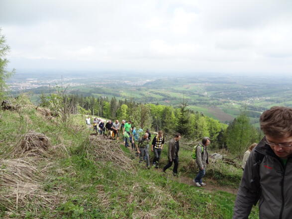 Blick Richtung Steyr unterhalb der Dambergwarte