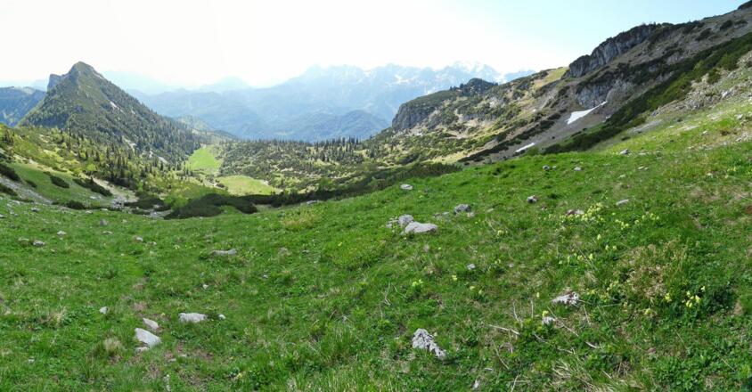 Rückweg über die Alternativroute