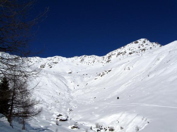 Die weiten Almböden der Grünbergalm