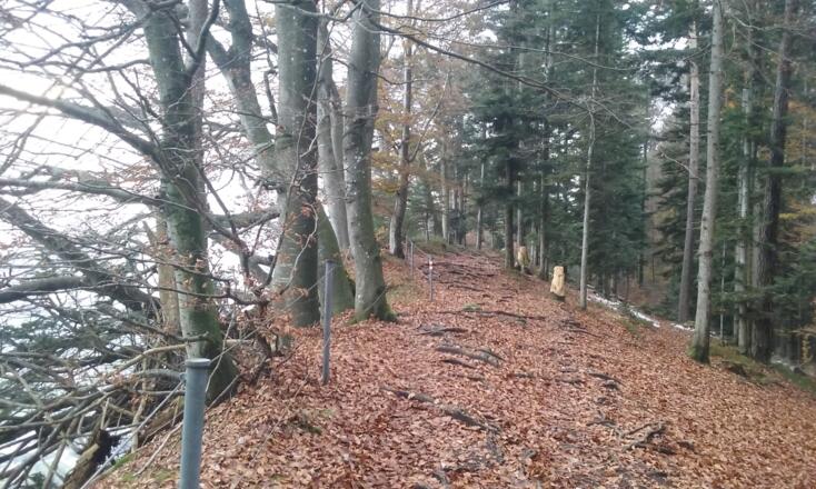 Immer der Kante entlang / always on the edge