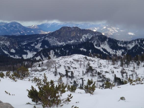 Blick zum Stubwieswipfel