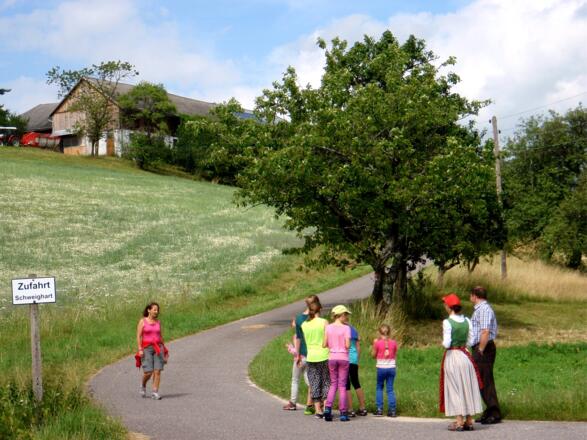 Links ab zum Hof Haugeneder, 720m.