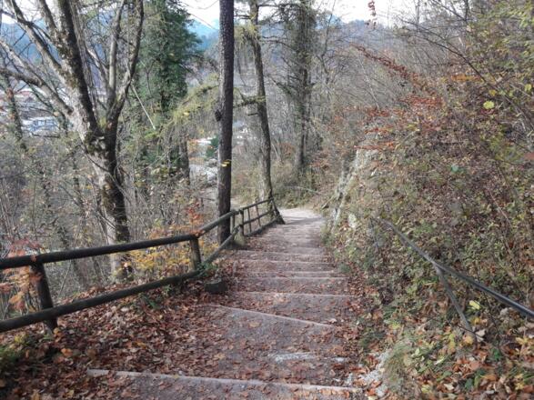 Die Stufen am Beginn der Wanderung. 285 davon gilt es zu erklimmen.