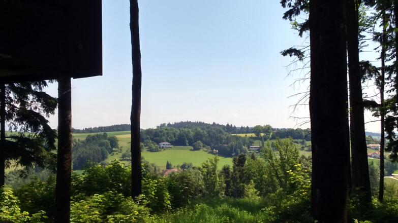 Am Gronallgipfel 432m