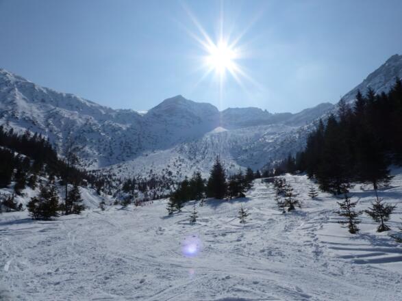 Blick zurück auf den mächtigen Nordhang (Regall) und den Schafkopf.