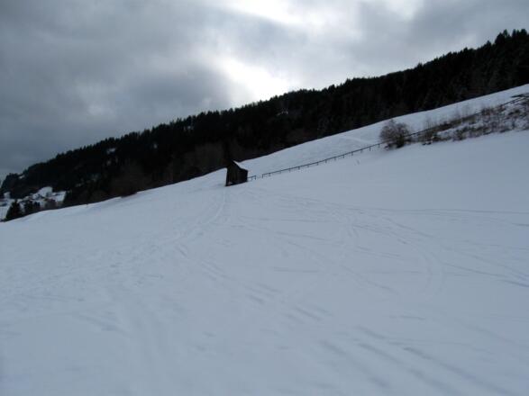 Über diese Wiese geht es auf diese kleine Hütte zu und anschließend zum Waldrand. (Im Hintergrund sieht man den weiteren Verlauf der Aufstiegsspur).